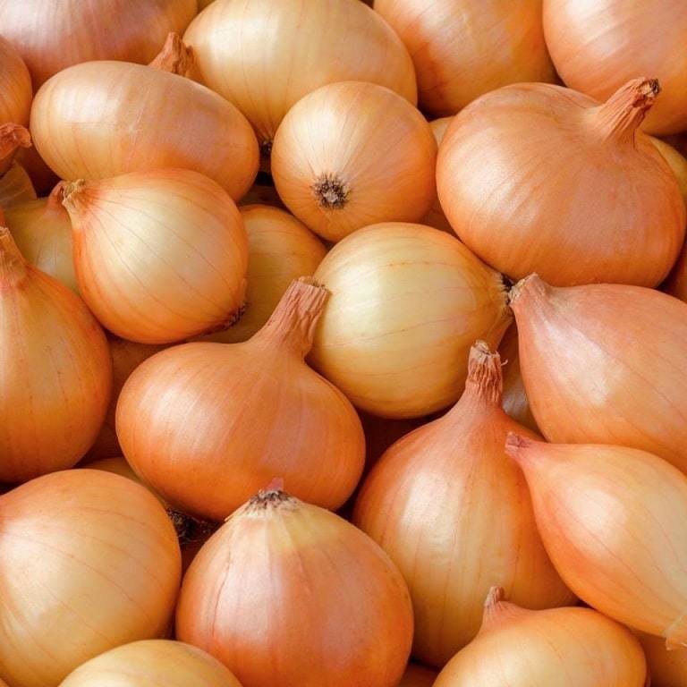 White Onions (1 kg) بصل ابيض White Onions (1 kg) بصل ابيض