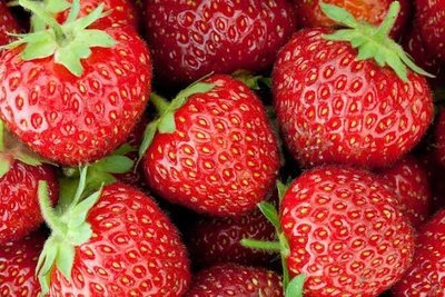Strawberries (250 g) فراولة Strawberries (250 g) فراولة