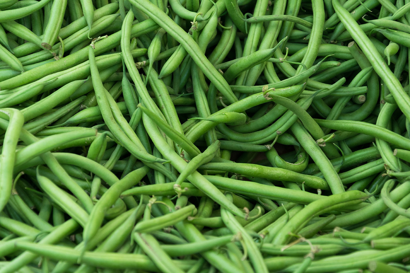 Green beans (500g) فاصوليا خضرة Green beans (500g) فاصوليا خضرة