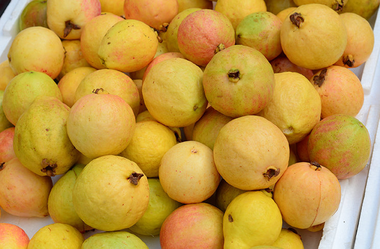 Guava (1 kg) جوافة Guava (1 kg) جوافة
