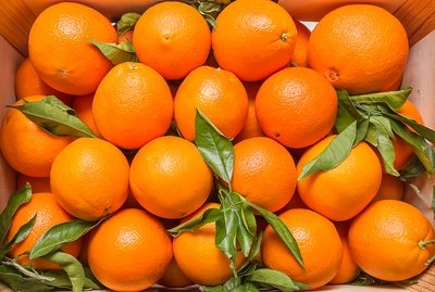 Valencia Oranges (1 kg) برتقال صيفي