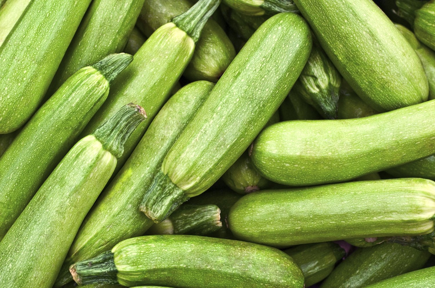 Zucchini to Fight the Summer Heat