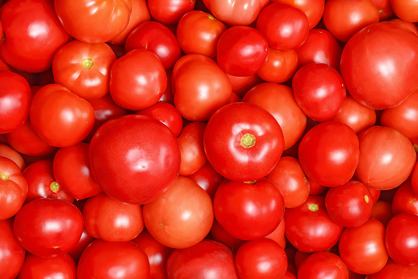 Tomatoes (1 kg) طماطم Tomatoes (1 kg) طماطم
