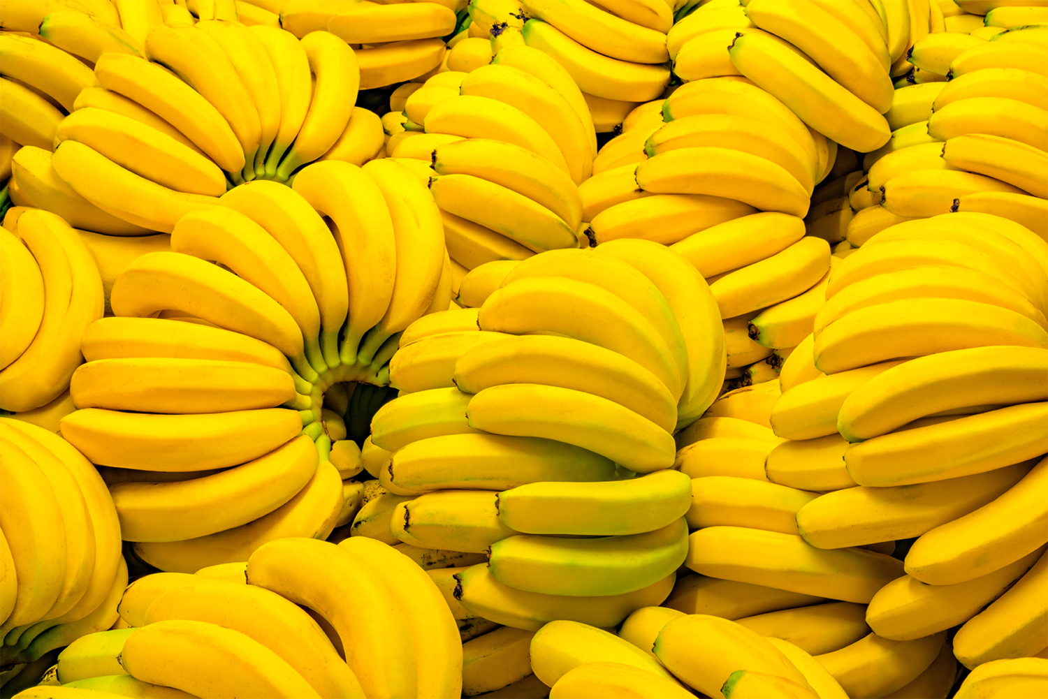 Bananas (1 kg) موز مصري Bananas (1 kg) موز مصري