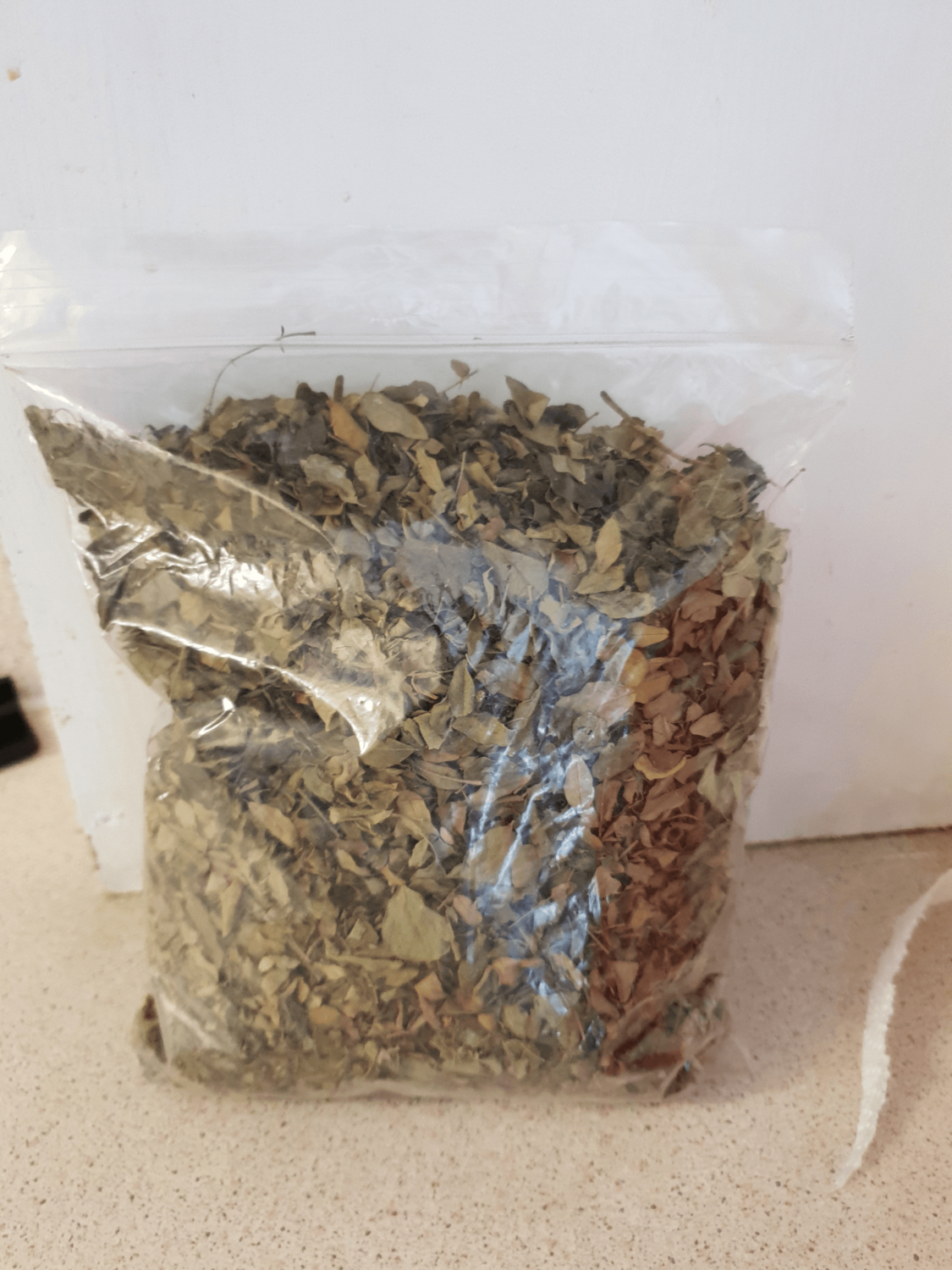 Moringa leaves