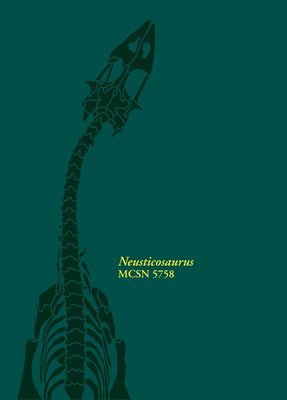Neusticosaurus MCSN 5758