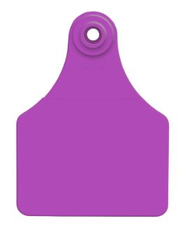 Management Tags