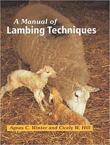 A Manual of Lambing Techniques by Agnes Winter &amp; Cicely Hill