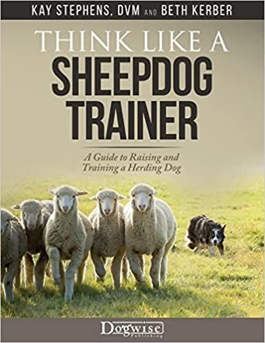 Sheep Dog Training