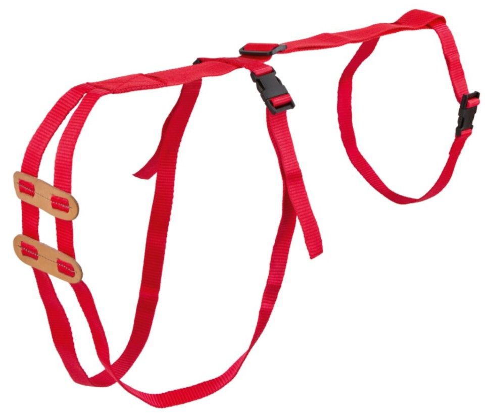Kerbl Prolapse Harness