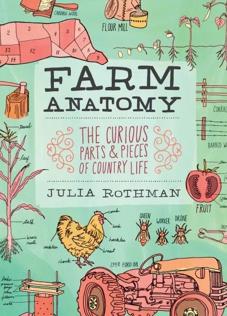 Farm Anatomy by Julia Rothman
