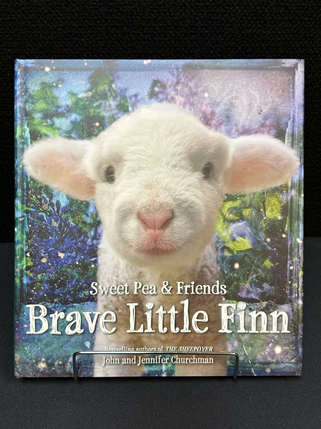 Brave Little Finn by John &amp; Jennifer Churchman
