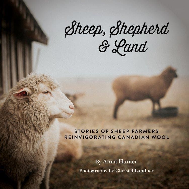 Sheep, Shepherd, &amp; Land By Anna Hunter