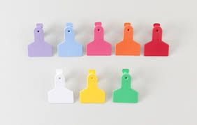 Z-Tags Small Animal, Colour: Blue