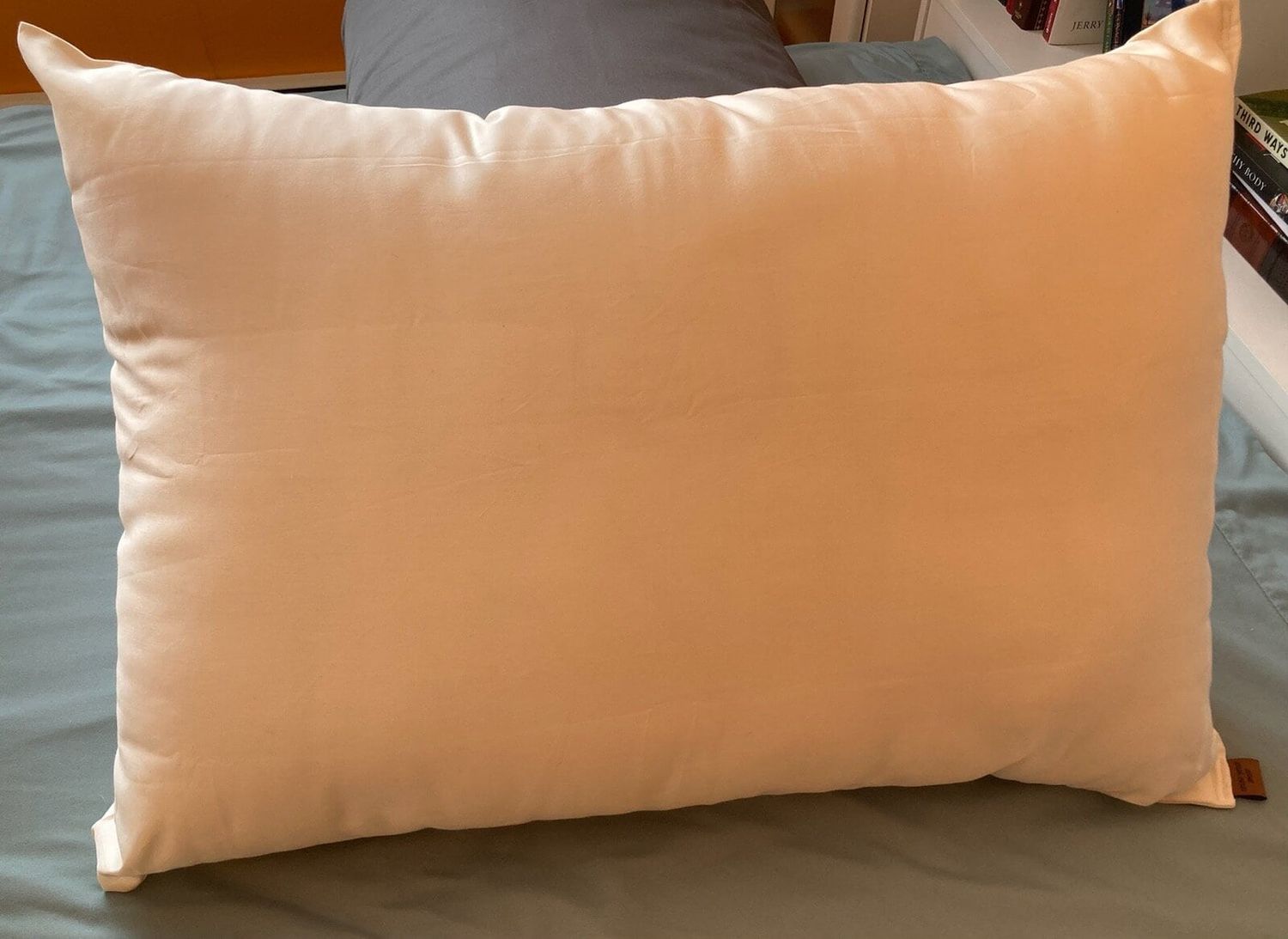 Count Your Sheep Pillow
