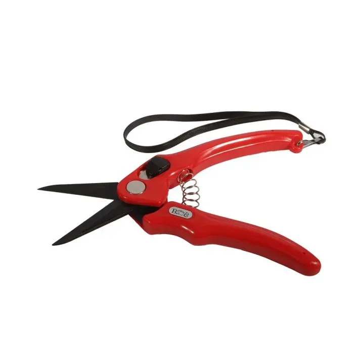 B&amp;B Super Sharp Foot Shear