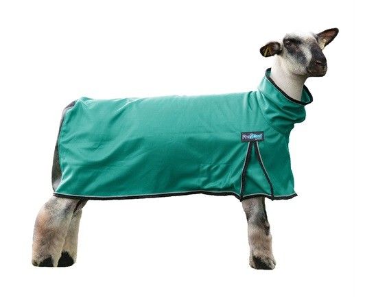 Weaver ProCool Sheep Blanket