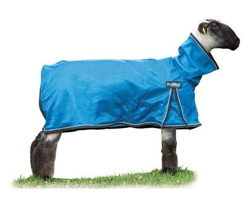 Weaver ProCool Sheep Blanket, Color: Blue, Size: Extra Small