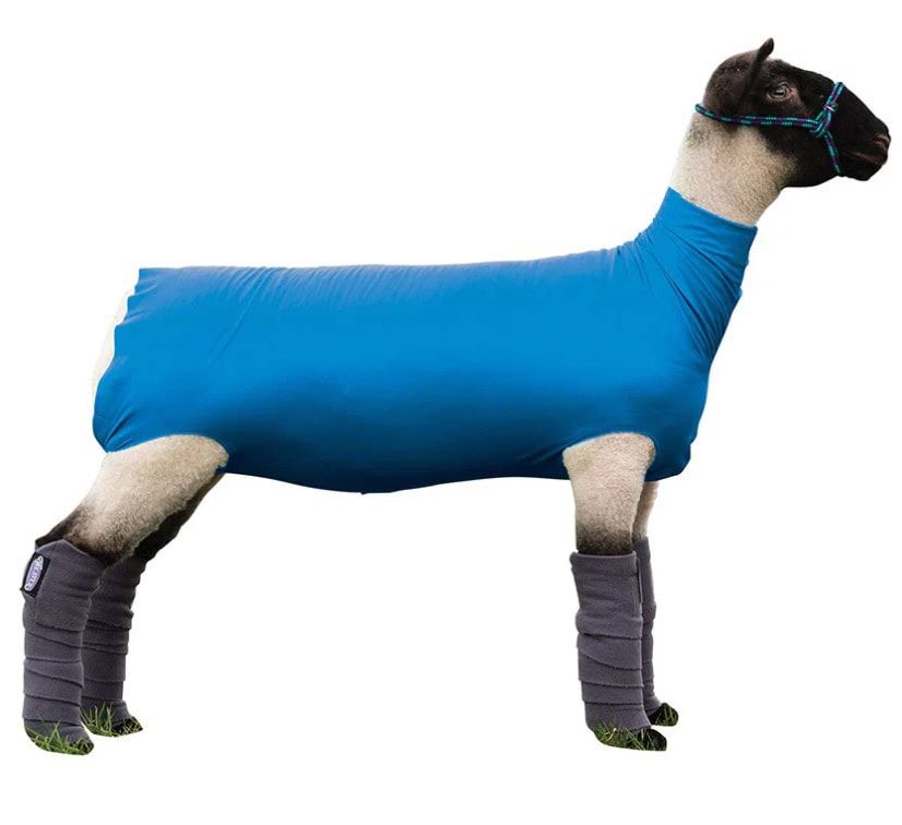 Weaver Spandex Sheep Tube, Color: Blue, Size: Small