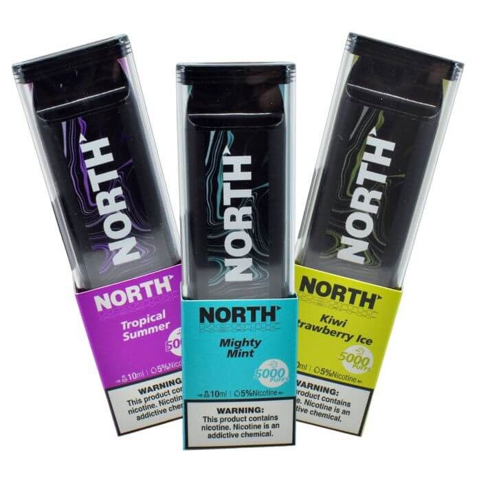 North 3% 5000 Puff Disposable