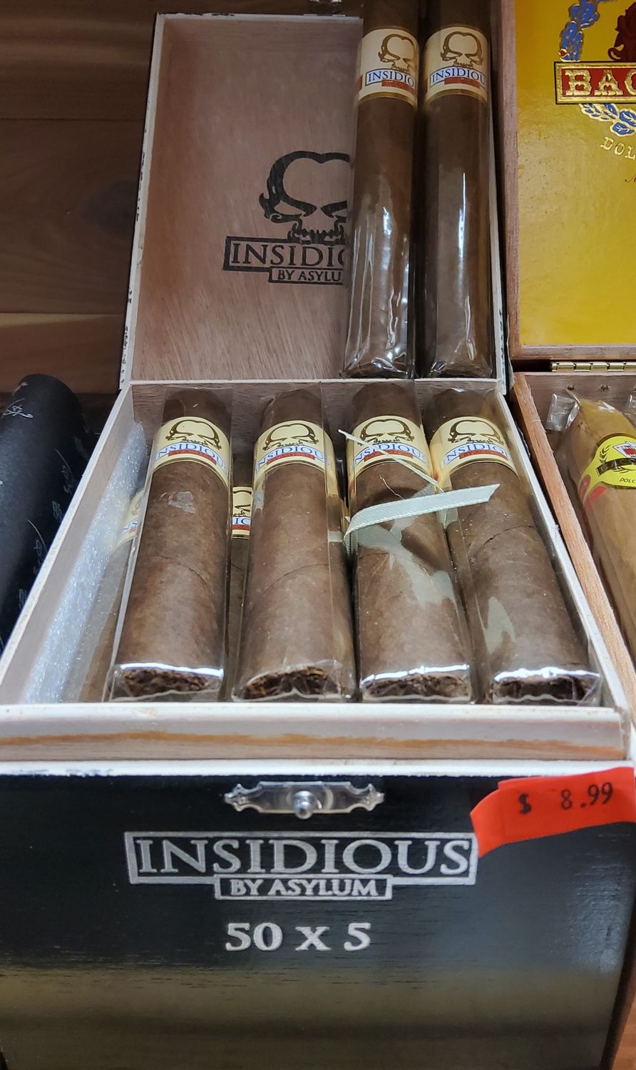 Ashton Insidious Asylum maduro 