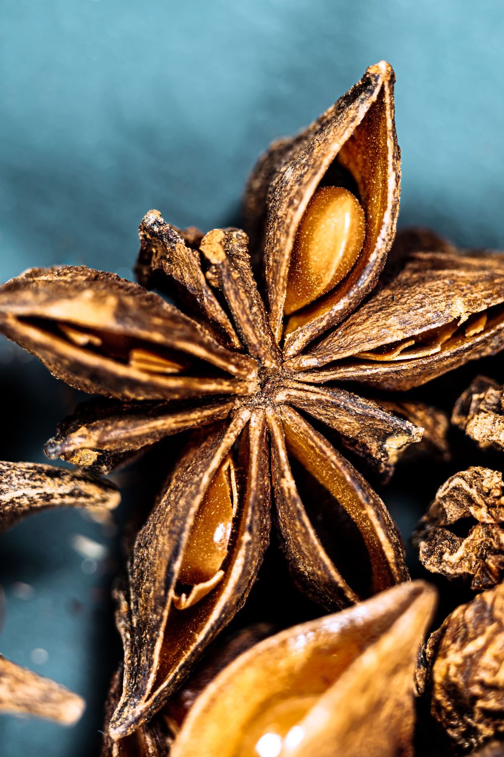 ANISE SEEDS