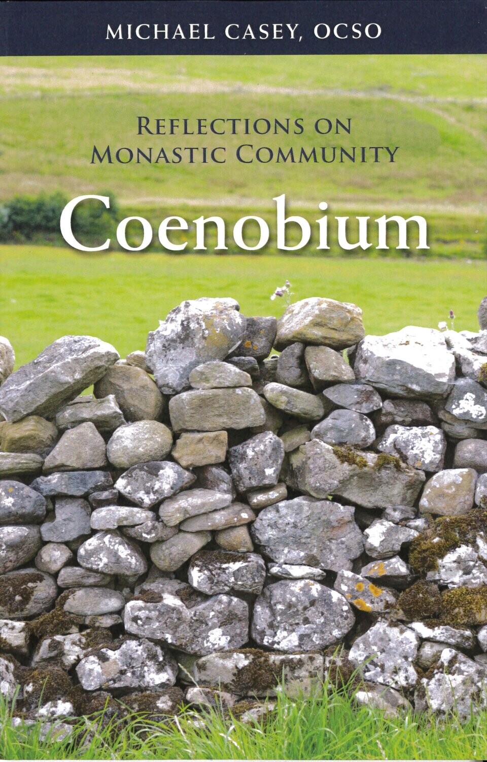 Coenobium: Reflections on Monastic Community by Michael Casey