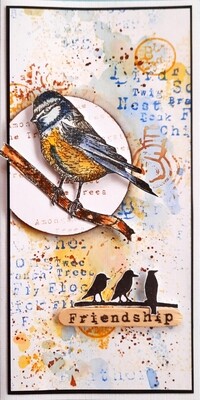 Stamping and Cardmaking supplies