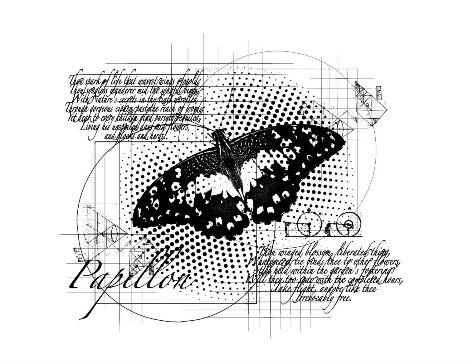 Andy Skinner Stamp Papillon Dreams