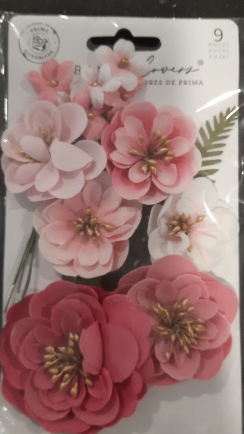 Pink Prima flowers