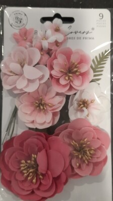 Pink Prima flowers