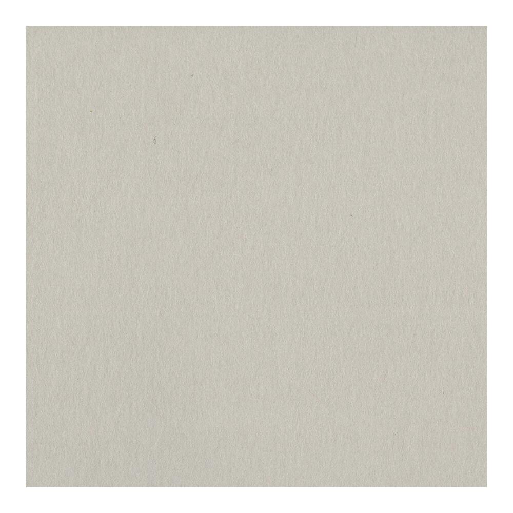 Bazzill Alpaca Heavyweight 12x12 cardstock