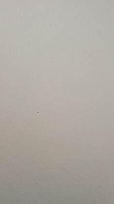 Travertine cardstock 12x12