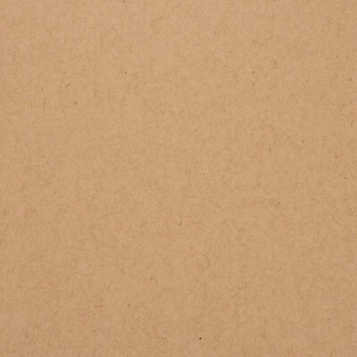 Chip stone 12x12 cardstock