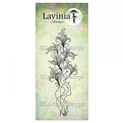 Twilight Lily 