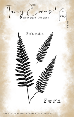 Fern TE3