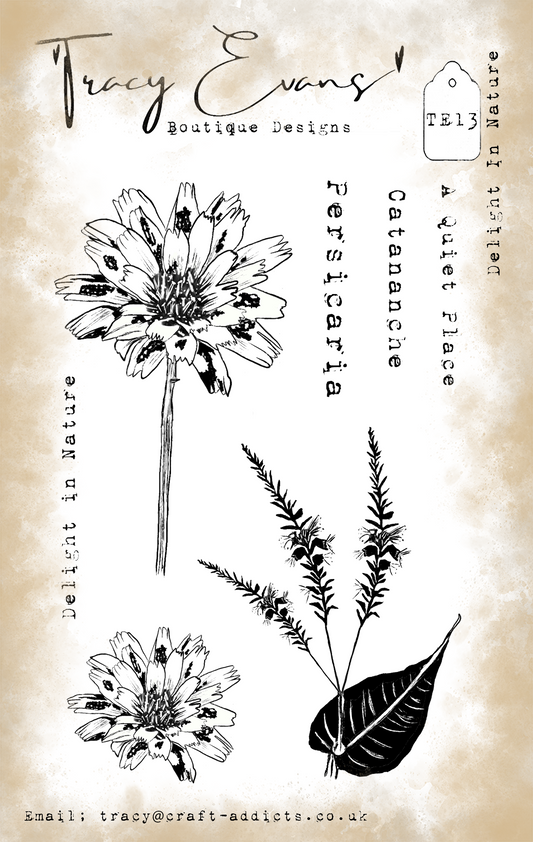Delight in Nature  TE13