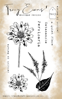 Delight in Nature  TE13