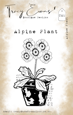 Alpine Plant TE1