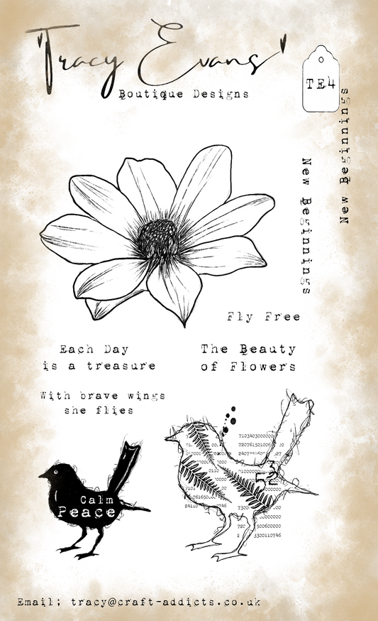 New Beginnings  TE4