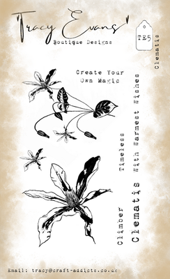 Clematis  TE5
