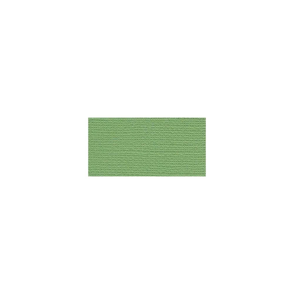 Bazzill Guacamole 12x12 cardstock