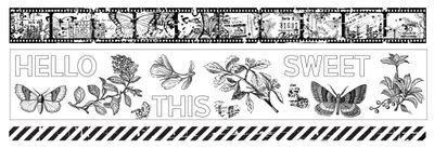 Arden Field Notes PET tape