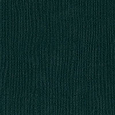 Bazzill Jade 12 x 12 Cardstock