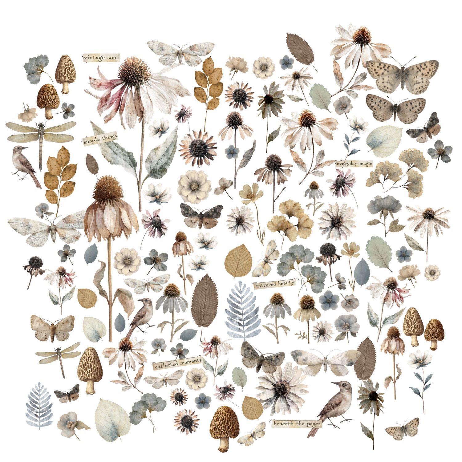 Faded Memory Lane Flower Laser Cuts