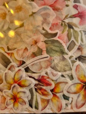 Coastal Vellum die cuts