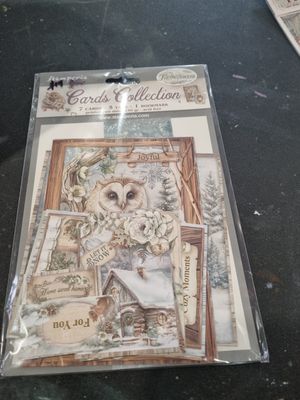 The owls house cards collection