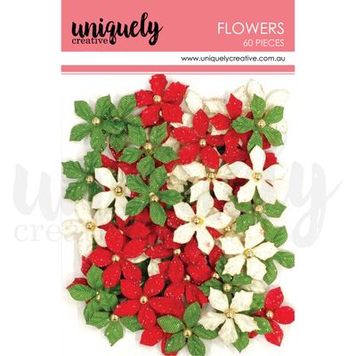 Mini Poinsettias