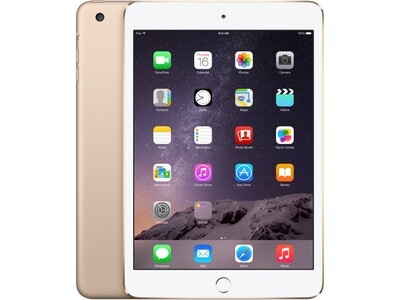 iPad Mini 1/2/3