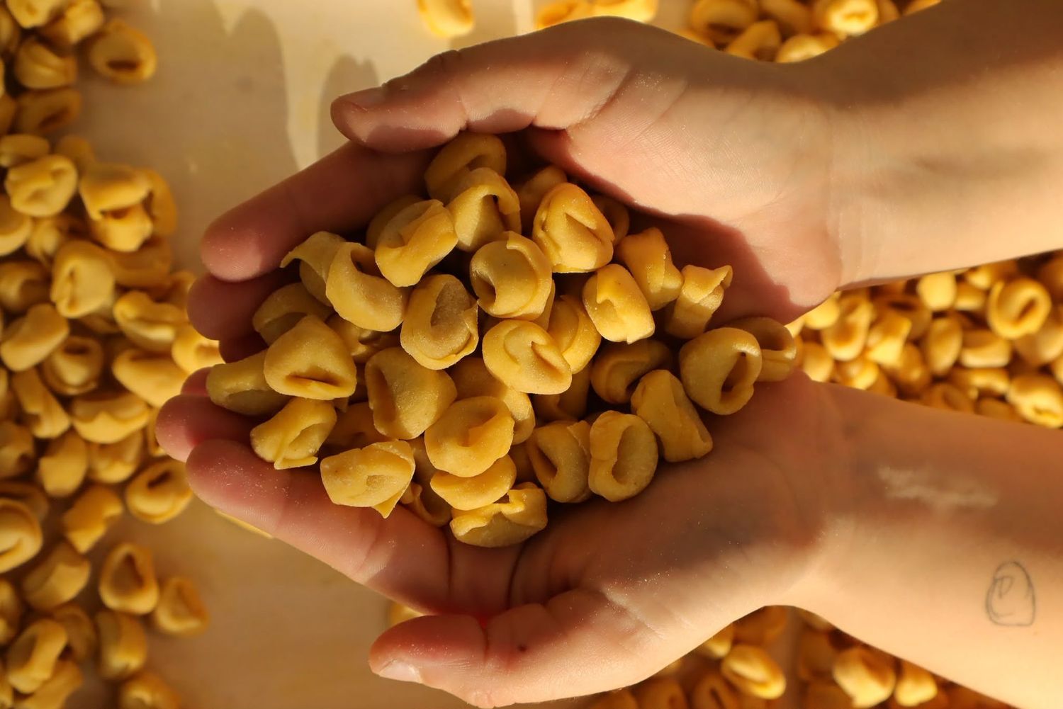 Tortellini che passione Tortellini che passione